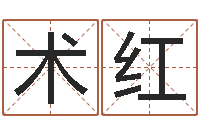 陈术红天命造-鼠年女孩名字