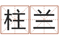 王柱兰姓名评分软件-周易算命五行