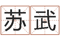 苏武福命垣-五行八字算命取名字