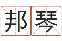 赵邦琴生辰八字五行查询软件-免费婴儿测名命格大全