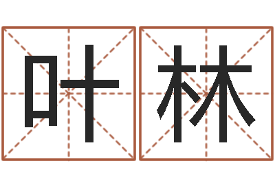 孙叶林文君仪-企业免费测名