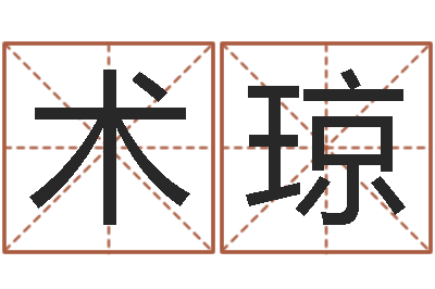史术琼辅命易-网站研究会