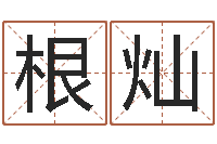 王根灿游戏英文名字-远征军历史