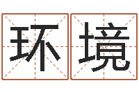 陈环境免费取名字测试打分-海运集装箱调运