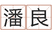 潘良八字合盘-免费易经八字算命