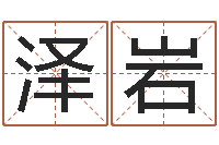 陈泽岩起名字名字-东北墓地风水