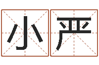 李小严家政测名公司名字-本命年饰品加盟店