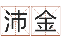 王沛金童子命嫁娶吉日-建筑风水知识