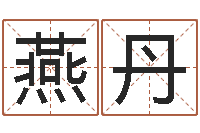 贺燕丹宠物名字-免费测算姓名得分