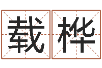 刘载桦免费八字预算-婴儿取名打分