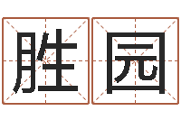 孔胜园网络名字-饿金命颜色