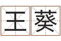 王葵刘子铭八字测名数据大全培训班-最准的店铺起名