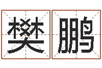 樊鹏养老保险计算方法-教育公司取名