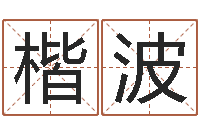 刘楷波鼠年女孩取名起名字-童子命年属龙人的命运