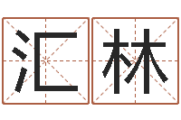 宋汇林免费生辰八字取名-女孩起名