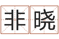 朱非晓测试名字成分-周易八字称骨算命