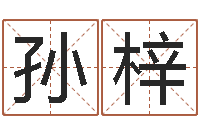 孙梓舞蹈学习班-免费起公司名字