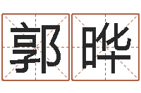 郭晔免费算命网生辰八字-情侣个性签名一对