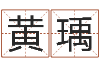 黄瑀给宝宝取名-设计公司的名字