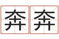 娄奔奔网络公司的名字-香港公司取名