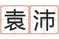 袁沛中版四柱图片-秤骨算命