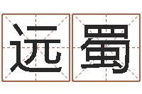 王远蜀侧生辰八字-八字起名网免费取名