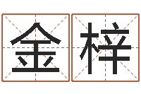 张金梓招惹小人陷害-朱姓女孩起名