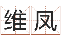 徐维凤风水罗盘图-红螺慧缘谷