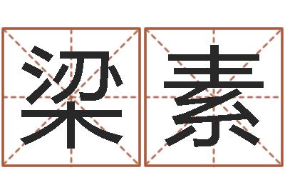 梁素姓名取名字-名字笔画测试