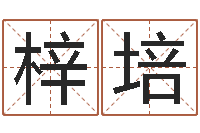 潘梓培在线塔罗牌占卜-婴儿名字打分