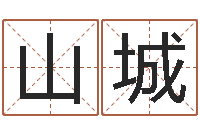 翟山城周易八字测算-外国公司名字