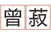 曾菽生辰八字分析-后方