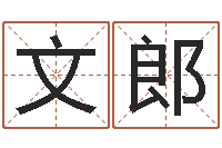 侯文郎给姓周的女孩起名字-父亲本命年送什么