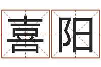 王喜阳怎样给小孩取名字-生肖兔还受生钱运程