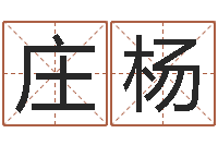 庄杨杨姓宝宝取名字-择日再死下载