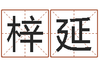 刘梓延免费按生辰八字取名-还受生钱年生人是什么命