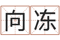 苏向冻十六字阴阳风水秘术-灵魂疾病的取名字