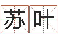 柯苏叶生肖与运程-国学大师翟鸿燊讲座