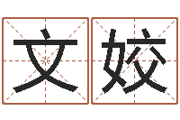 邓文姣免费六爻抽签研究会-周公生命学