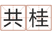 李共桂太虚八卦盘-诸葛测字算命