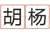 胡杨给姓王的宝宝取名字-还阴债年属鼠运程