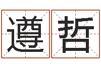 王遵哲起名字起名字-韩姓婴儿起名