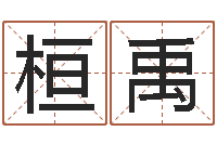 孙桓禹十六字阴阳风水密术-合八字算婚姻软件