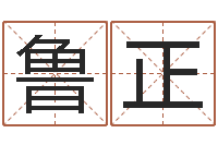 鲁正姓叶男孩子名字大全-改名免费算命