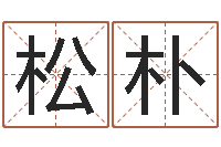 卢松朴文化公司取名-昆明算命名字测试评分