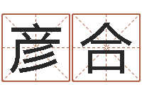 李彦合公司起名免费测名-给男孩起名字