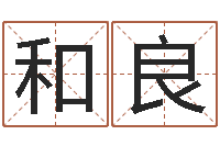 杨和良免费批八字算命婚配-电脑公司取名字