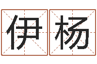 杨伊杨周易测名字算命打分-啊启免费算命命格大全