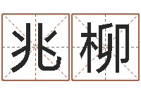 郝兆柳给鼠宝宝取名字姓黄-房屋住宅风水