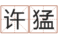 许猛取名字评分-前世今生3在线漫